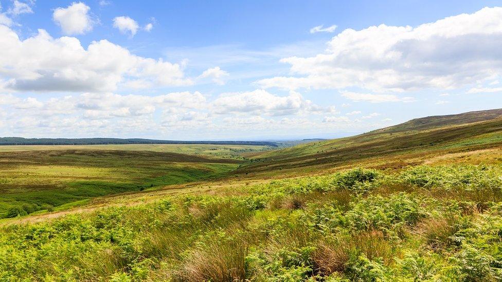 Langholm moor