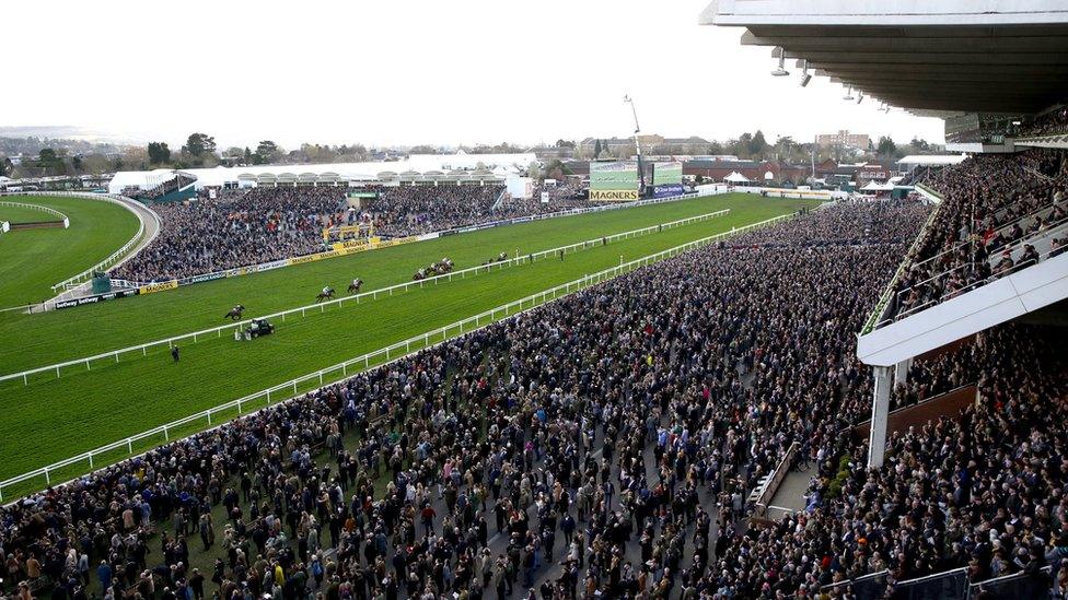 Cheltenham race crowds