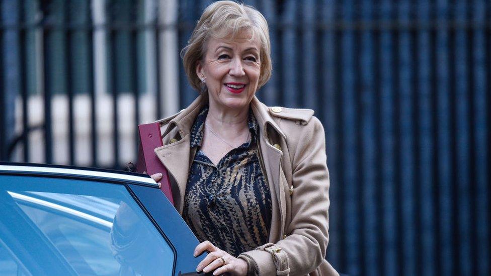 Dame Andrea Leadsom