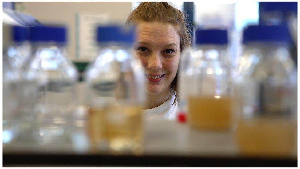 Dr Helen Cockerton in her lab