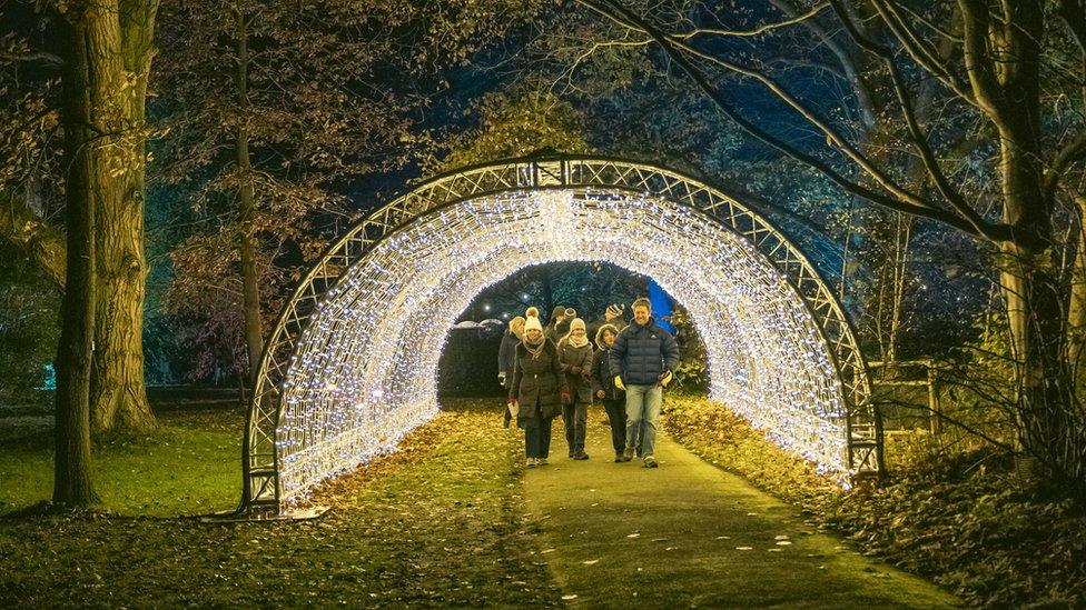 Cambridge Botanic Lights