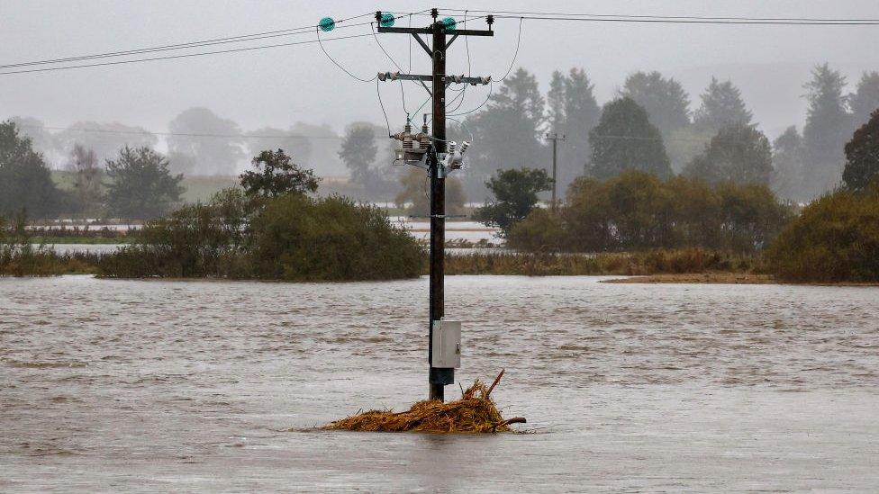 Flooded field