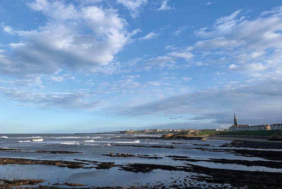 Northumbrian coast