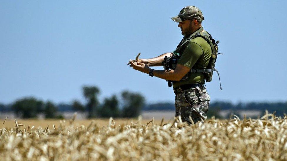 A serviceman holds wheat ears during the harvest season, Zaporizhzhia Region, southeastern Ukraine.