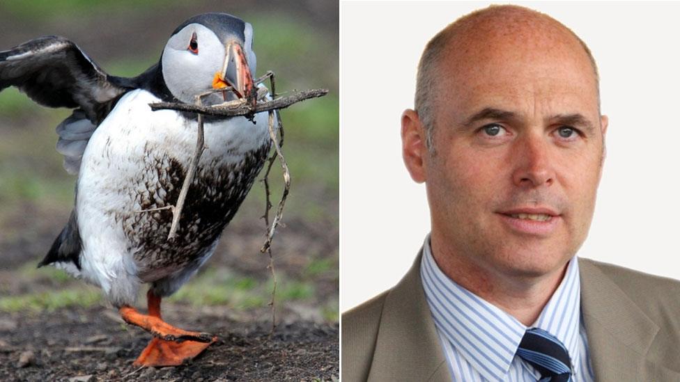 Puffin and Paul Davies