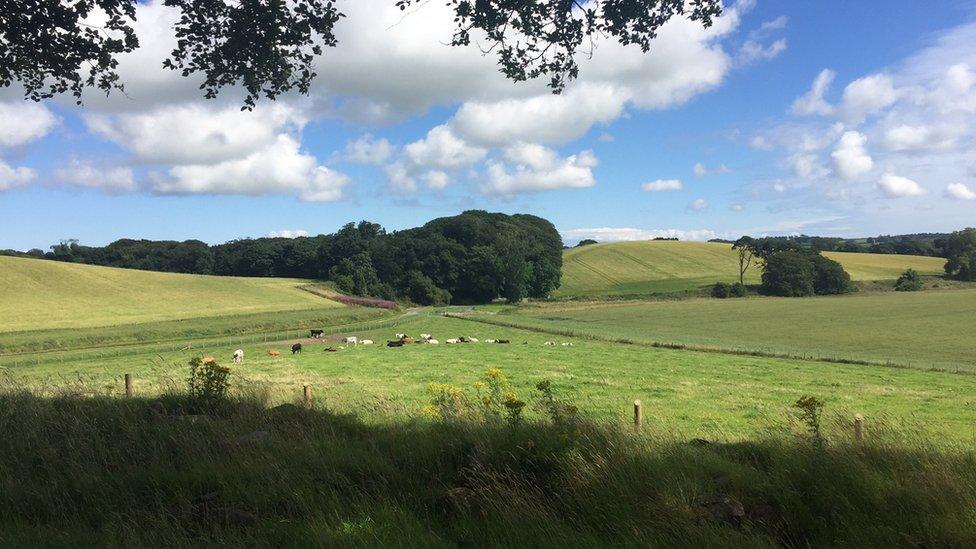 Land near Mount Stewart Estate