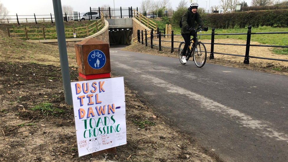 A sign for people to be aware of toads on a trail in Cambridge