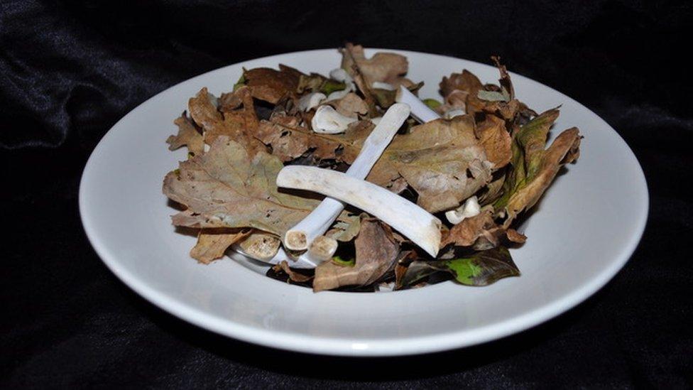 A plate of leaves and bones