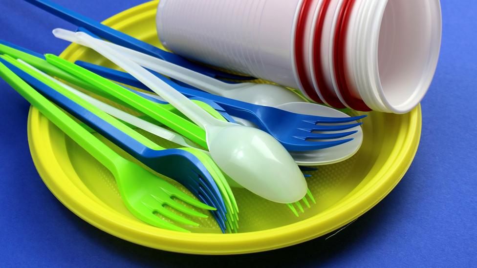 Disposable cutlery and plates hotsell