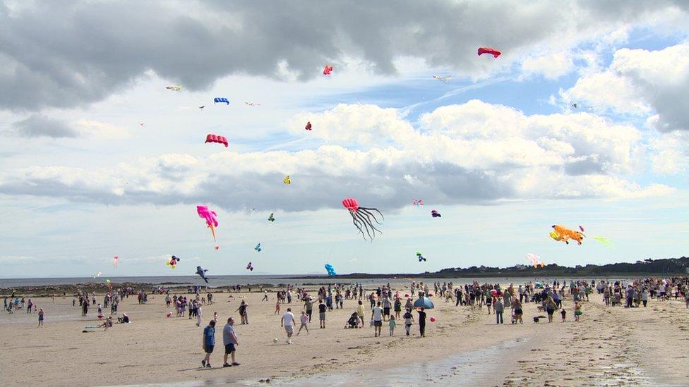 Kites at Millisle beach