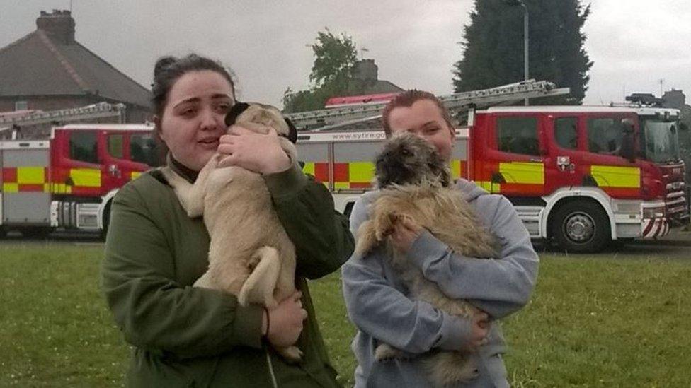 Owners and dogs rescued from the smoke