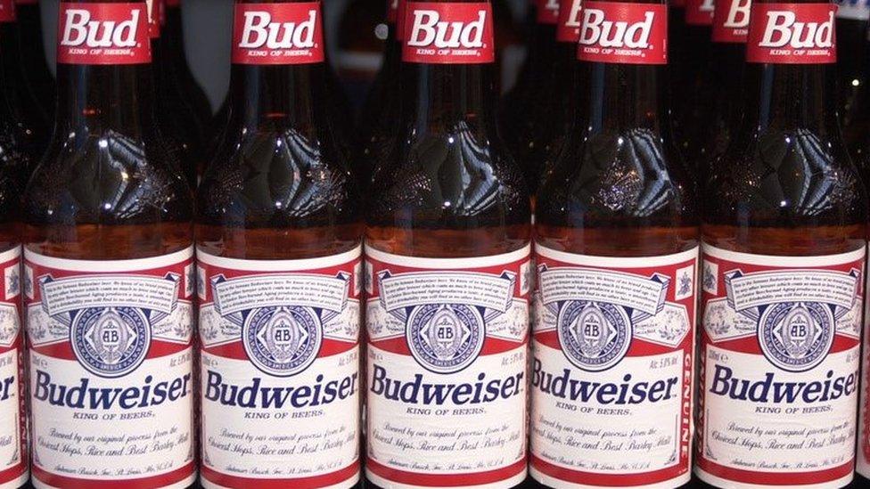 Bottles of Budweiser