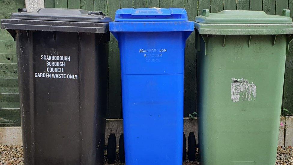 Bins in Scarborough