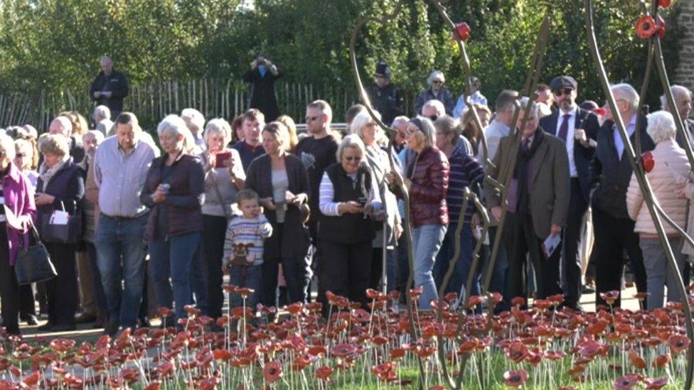 ceramic poppies