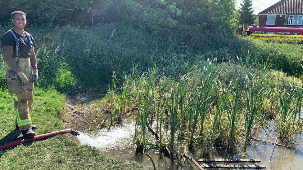 Firefighter filling dried-out York pond to save tadpoles.