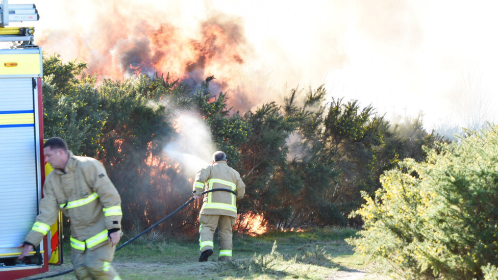 Blaze in the Ashdown Forest