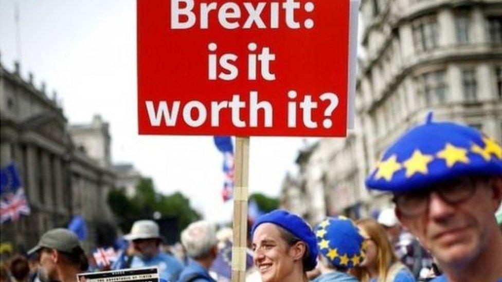 Brexit protest