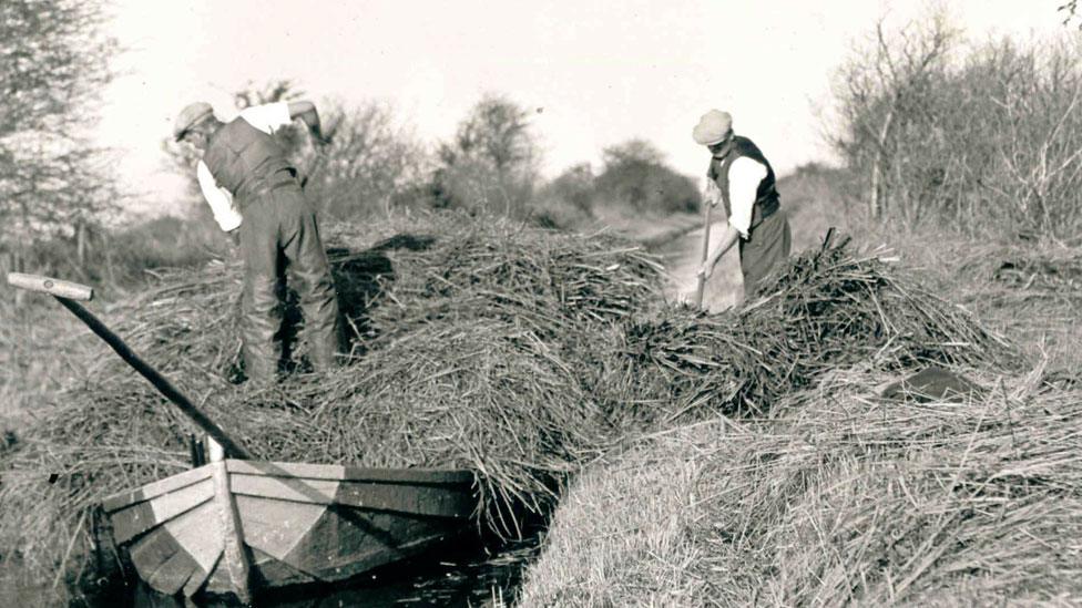 Wicken Fen