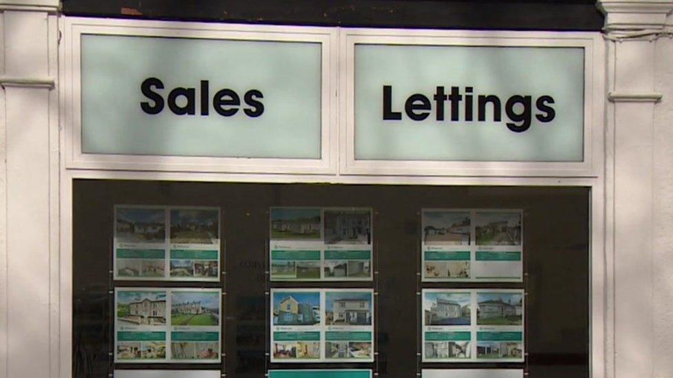 Estate agent's window