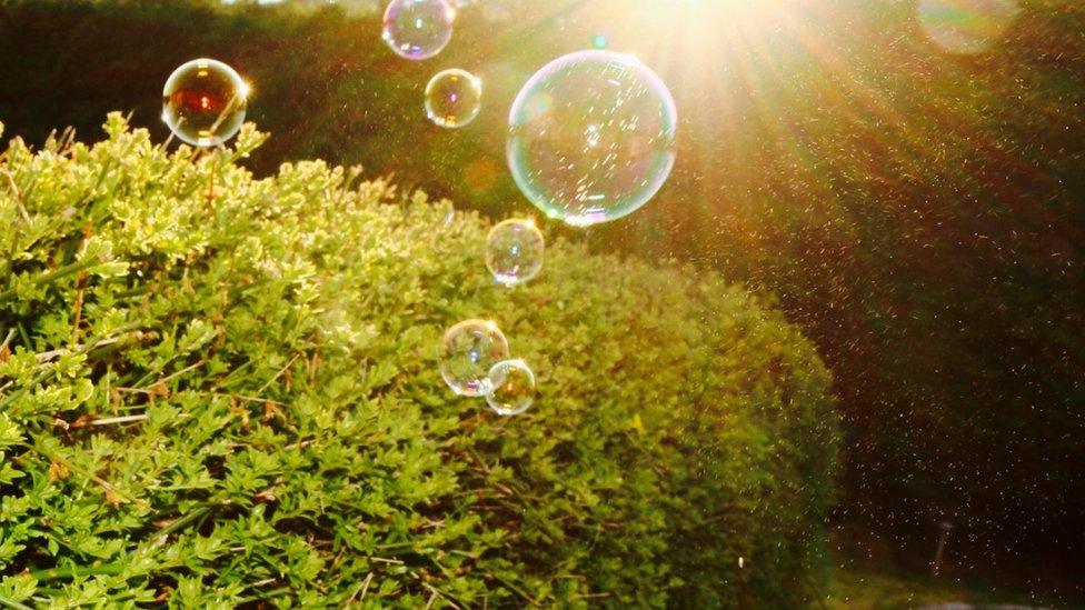 Sunshine and bubbles in Abingdon