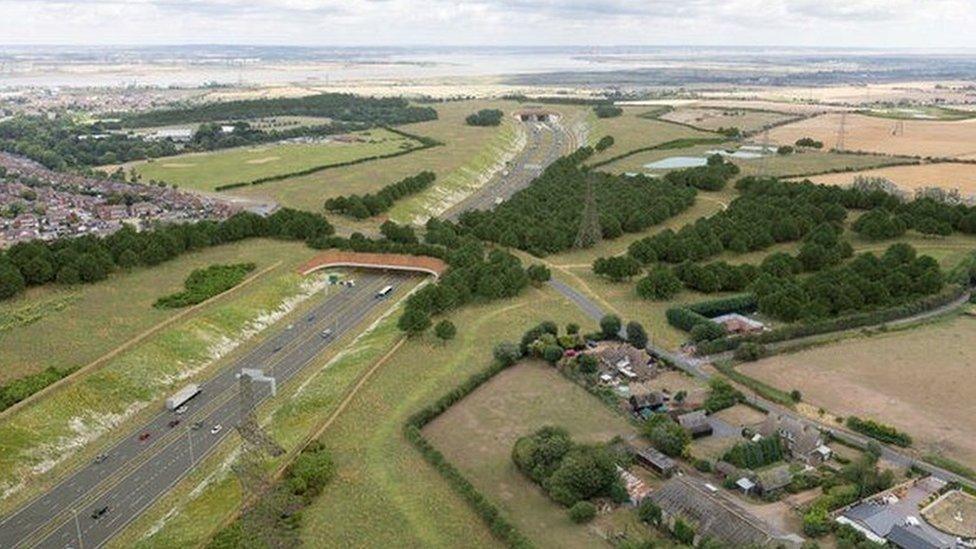 A proposed green bridge at Thong Lane