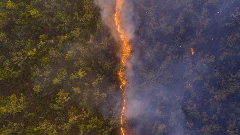 A Line of Fire by Robert Irwin