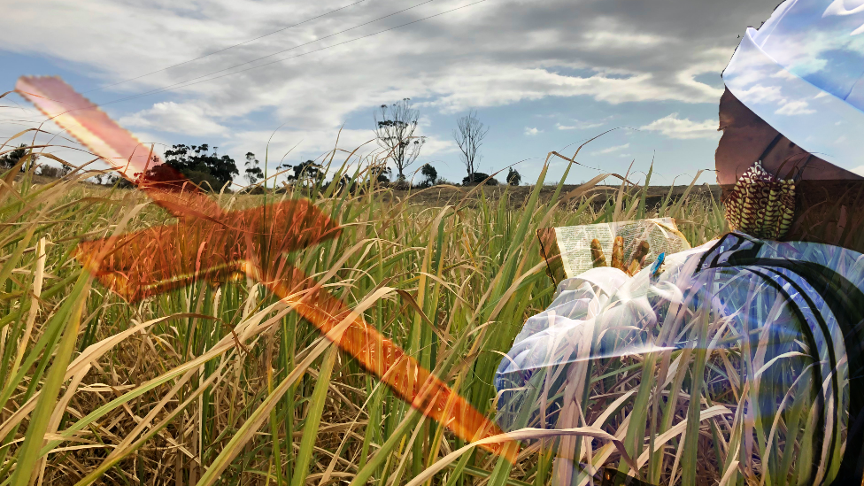 A sugar cane field with a cross of one of the murdered victims superimposed on it and a woman praying at the site - Mthwalume, South Africa