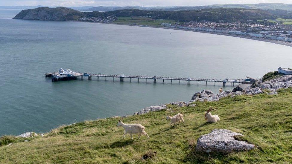 Pen Y Gogarth