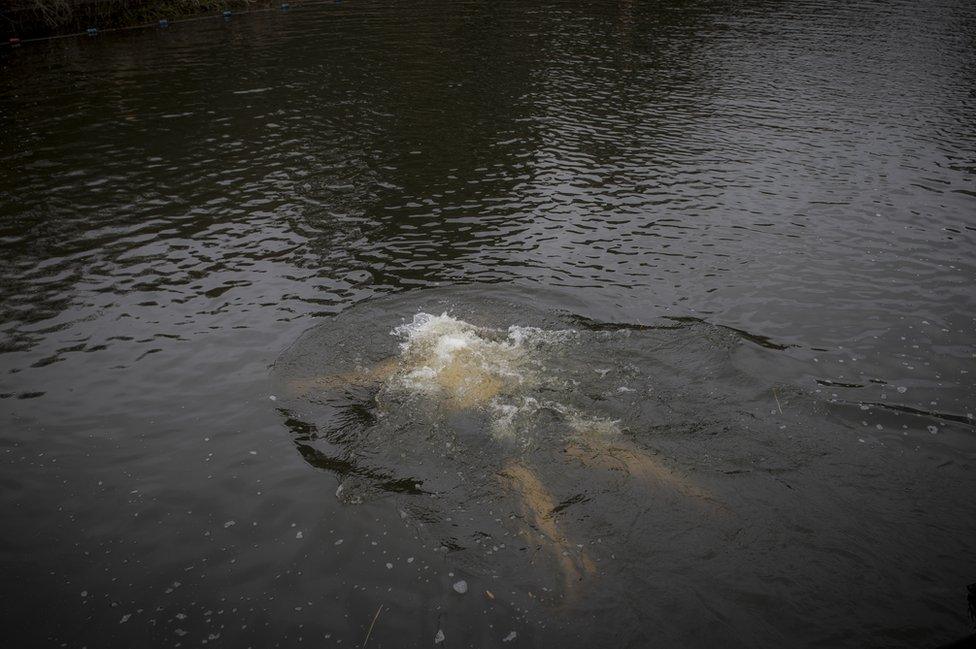 A person splashes into water