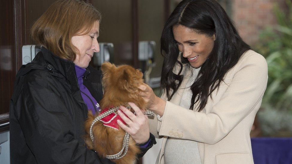 The Duchess of Sussex met a dog called Foxy during a visit to Mayhew, an animal welfare charity