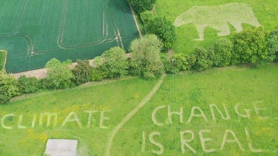 A polar bear and message saying "Climate change is real" mown into a lawn