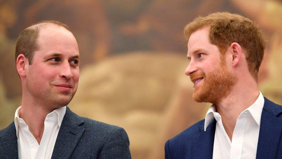 The Duke of Cambridge and the Duke of Sussex