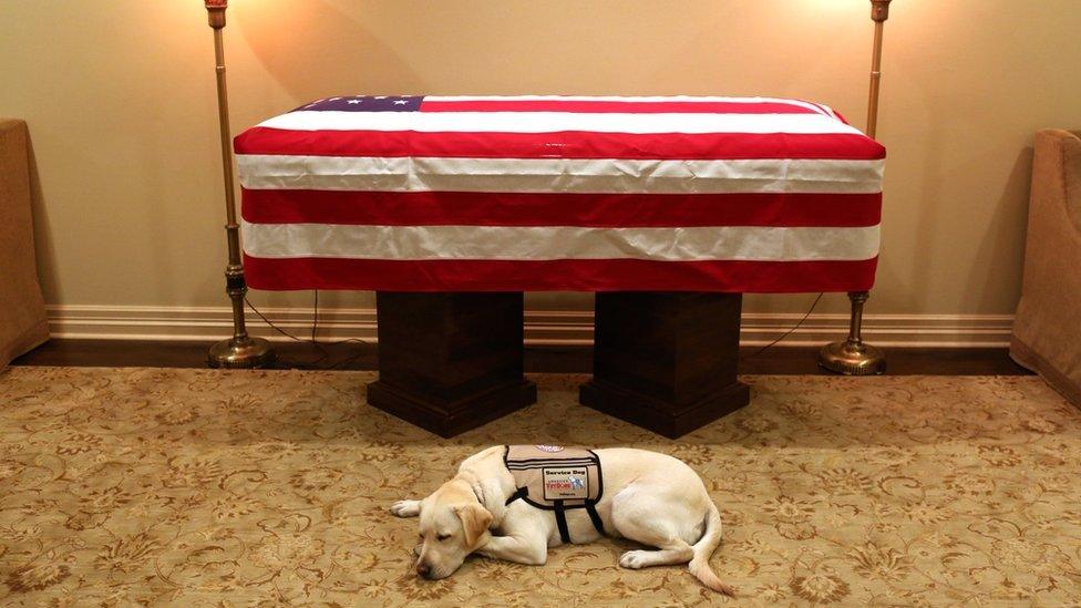 Sully the dog sleeps next to the casket of the late US President George HW Bush