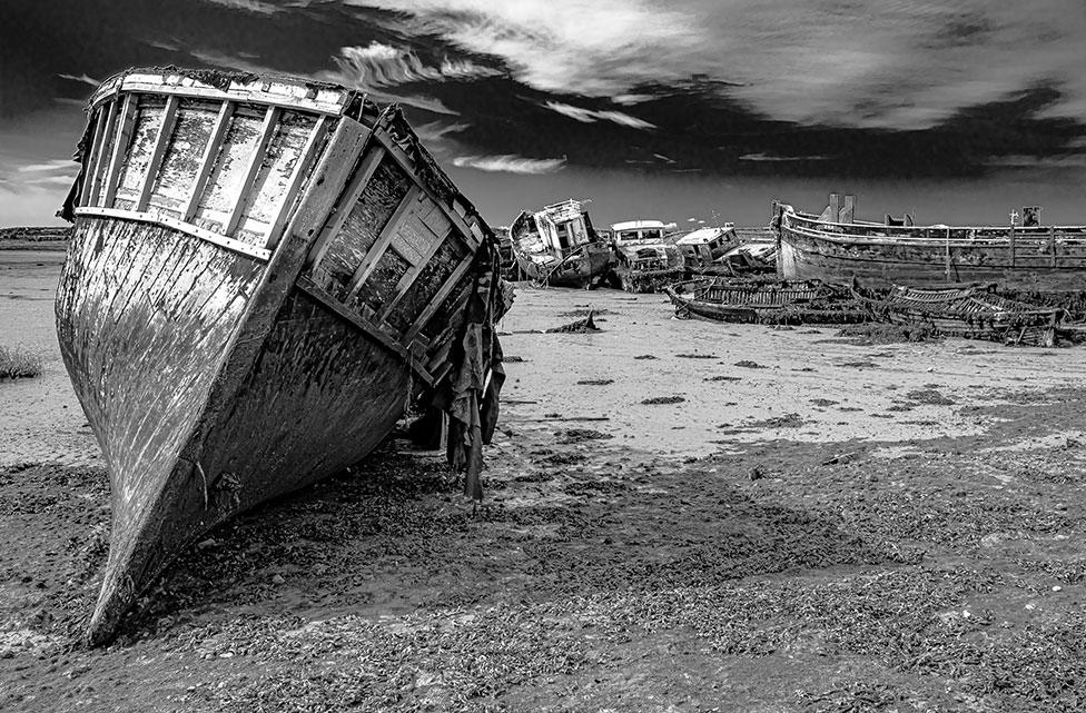 Boats rot in the mud