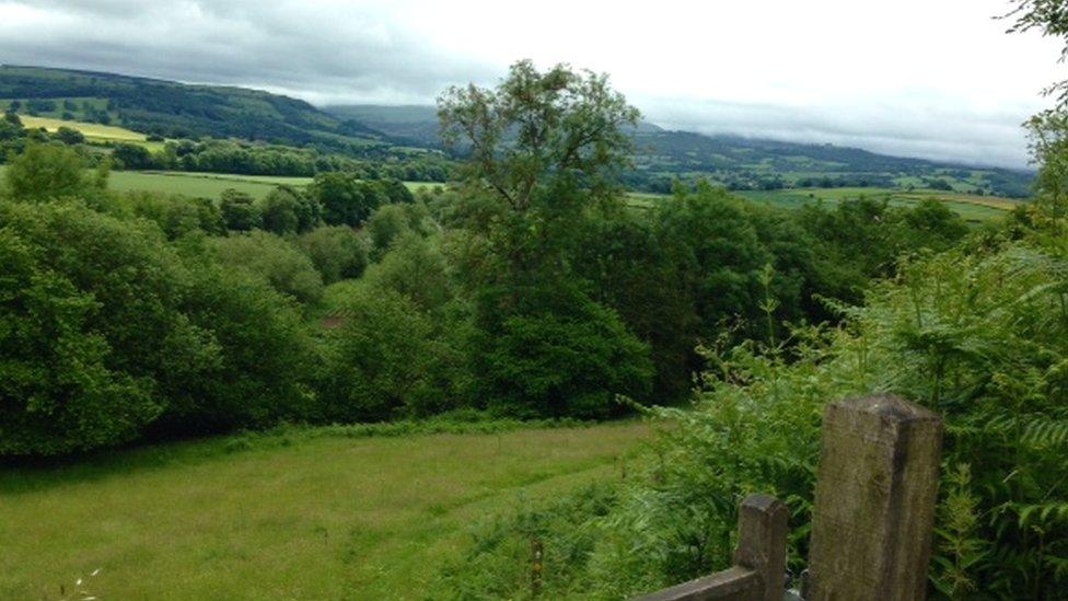 Offa's Dyke trail