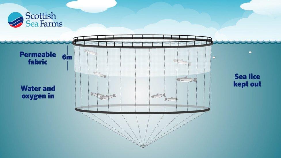 Anti-sea lice shield graphic