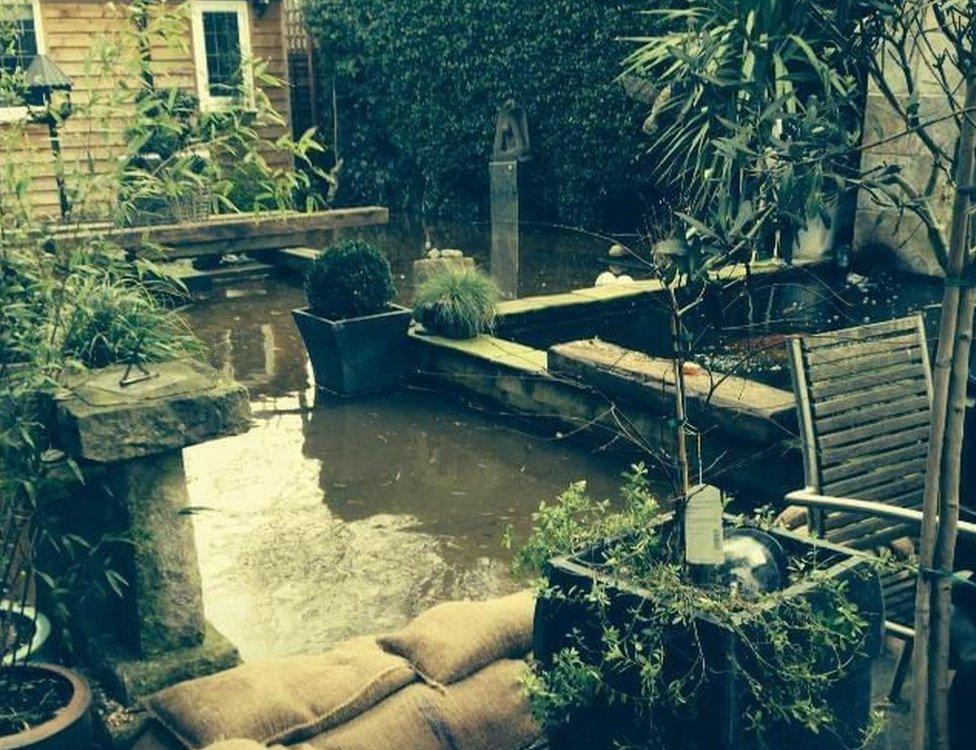 Flooded garden