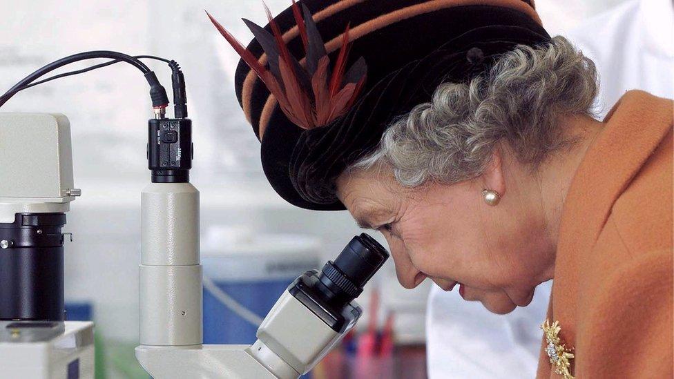 The Queen looking into a microscope during her visit to Newcastle's Centre for Life