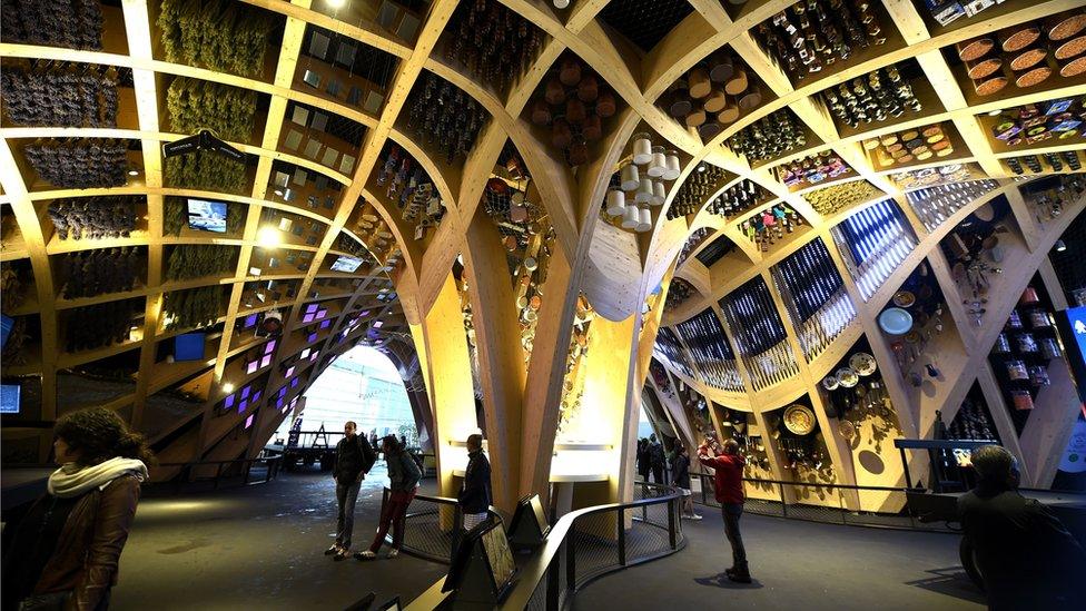 The France pavilion at Milan Expo (file pic May 2015)