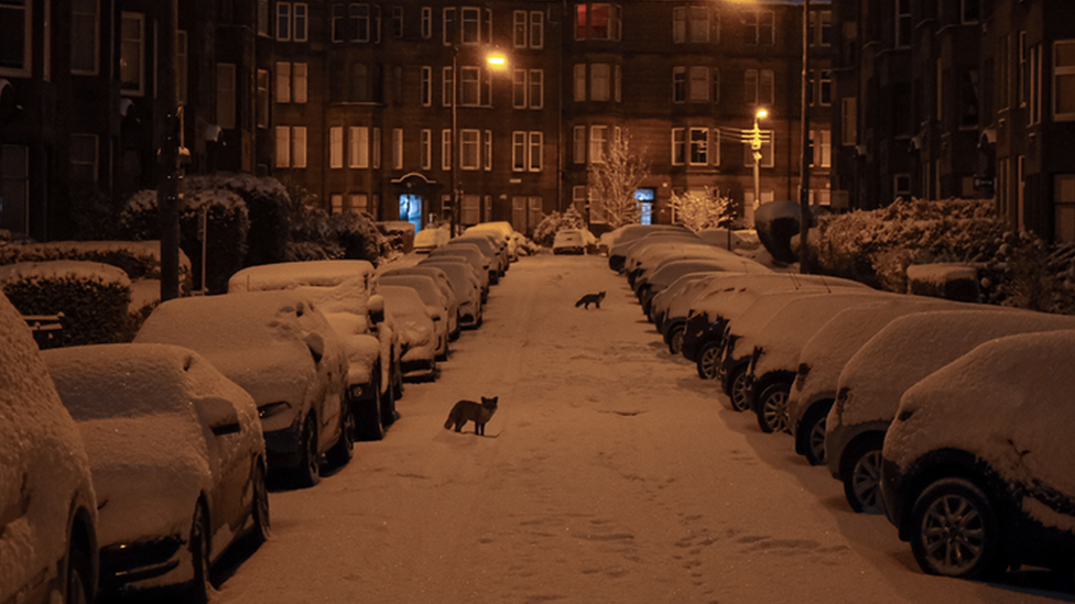 Glasgow's west end