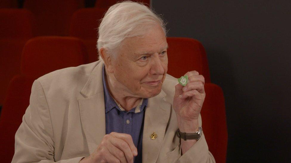 david-attenborough-green-blue-peter-badge.