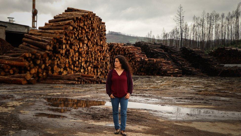 Sandra Tomás, manager of Tomás Madeira, stands next to several piles of burnt logs