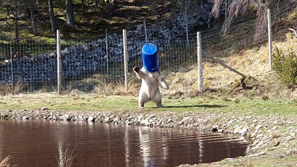 Hamish playing with a barrel