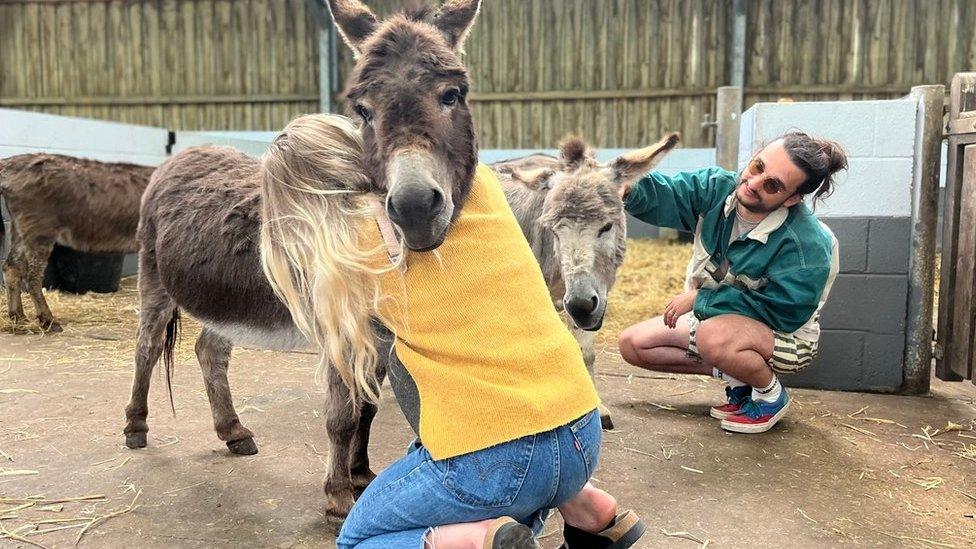 Hester and Josh from Wet Leg cuddle miniature donkeys