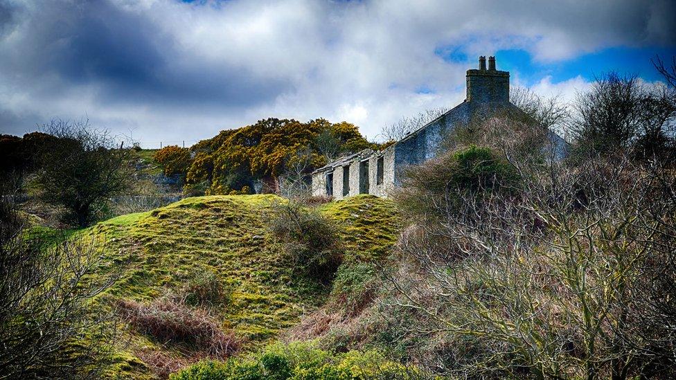 Deserted cottage at Penmon, Anglesey