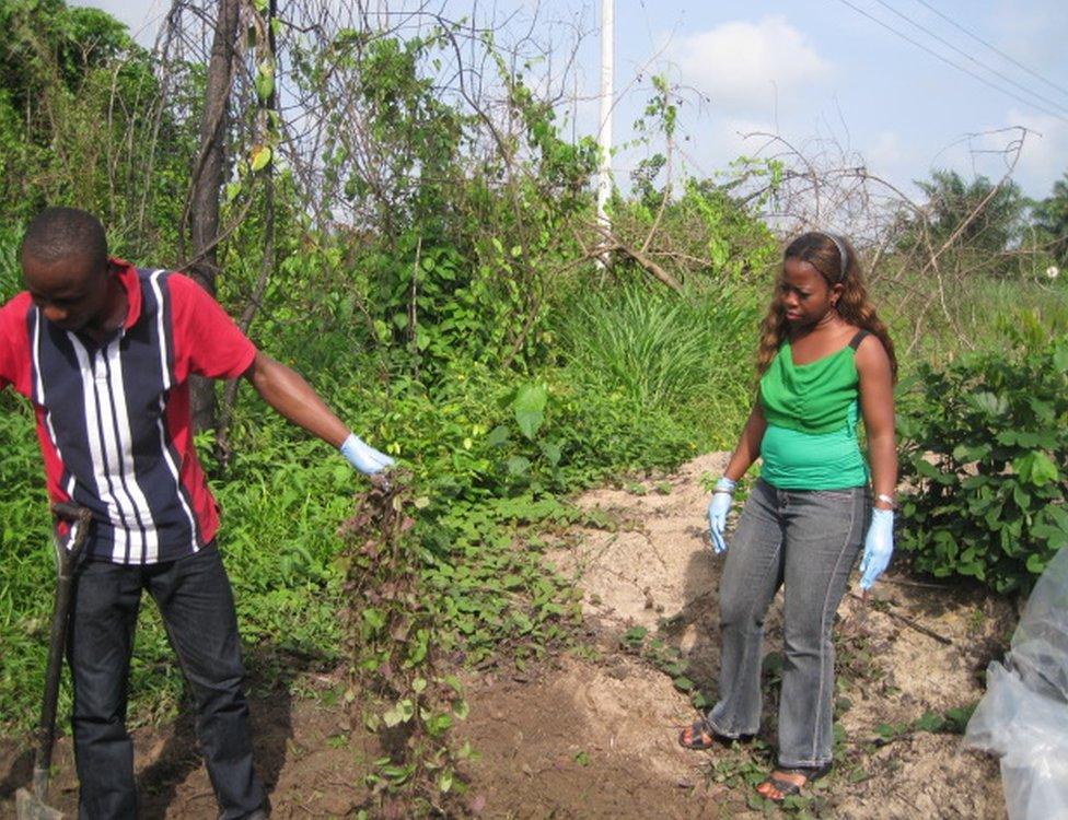 Eucharia has developed techniques that remove pollutants from the soil using plants