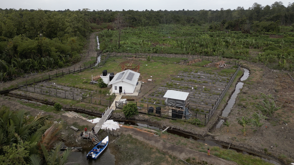 A view of the new shed with its solar panels in Smith Creek