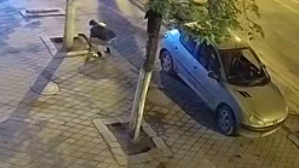 Man stealing paving stones