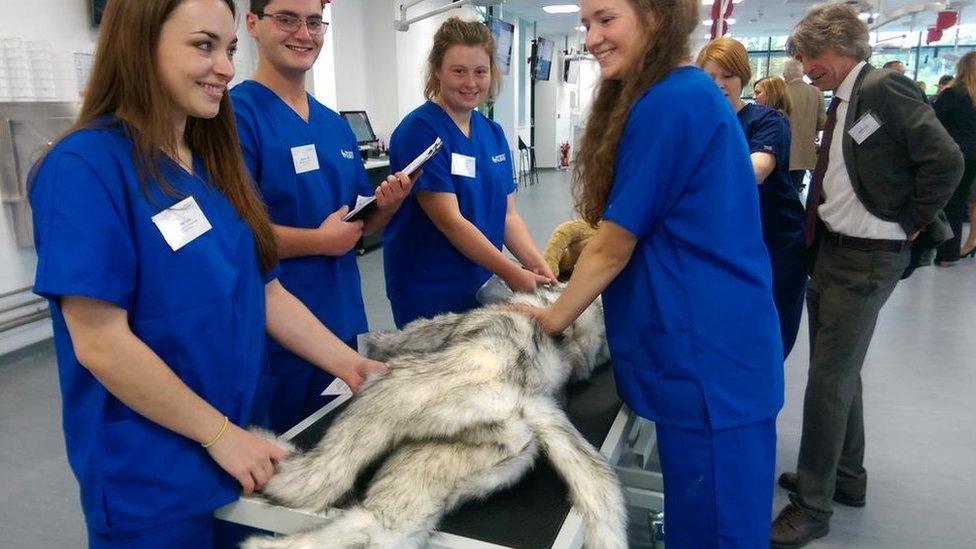 Students at the University of Surrey's new vet school