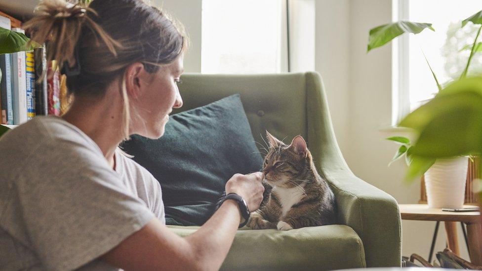 Nala the cat and her foster carer Polly